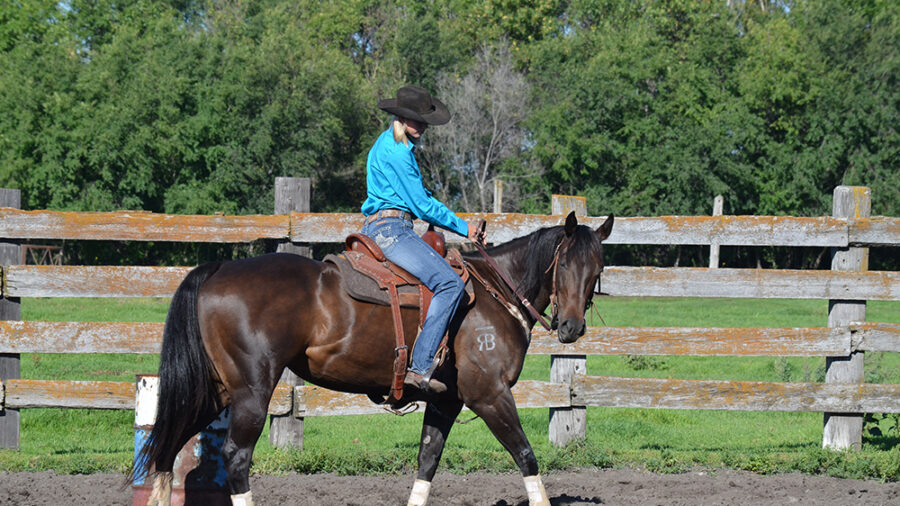 As she crosses the 1-foot point, Otto picks up the outside rein and adds pressure from the outside leg to cue for the counter arc, exaggerating the finish of the turn.