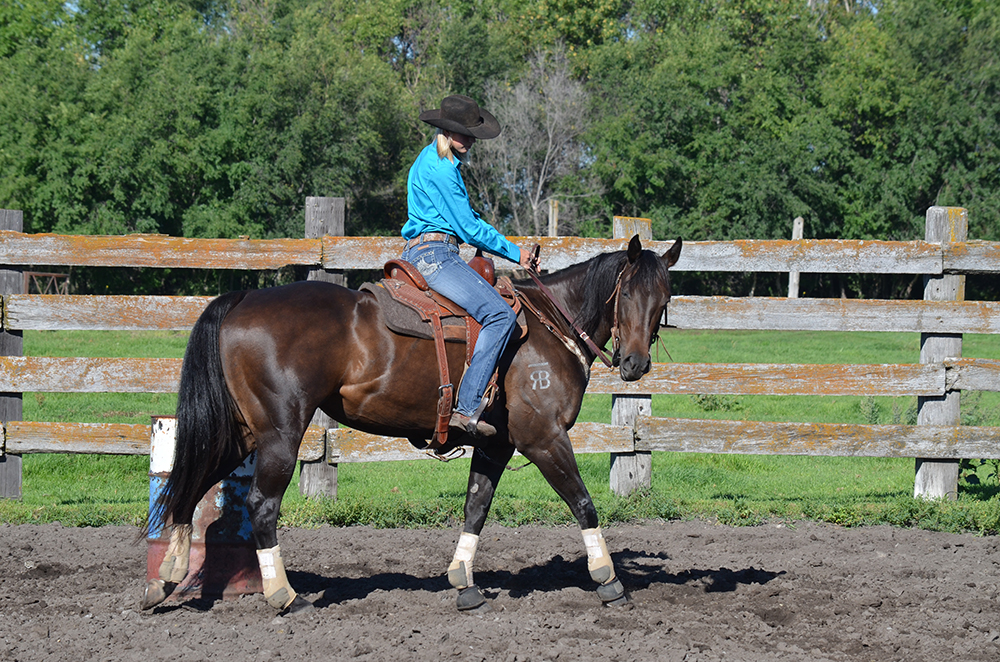 As she crosses the 1-foot point, Otto picks up the outside rein and adds pressure from the outside leg to cue for the counter arc, exaggerating the finish of the turn.