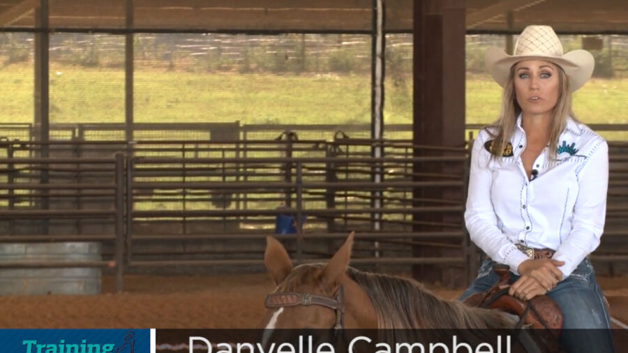 Danyelle Campbell How often works horses