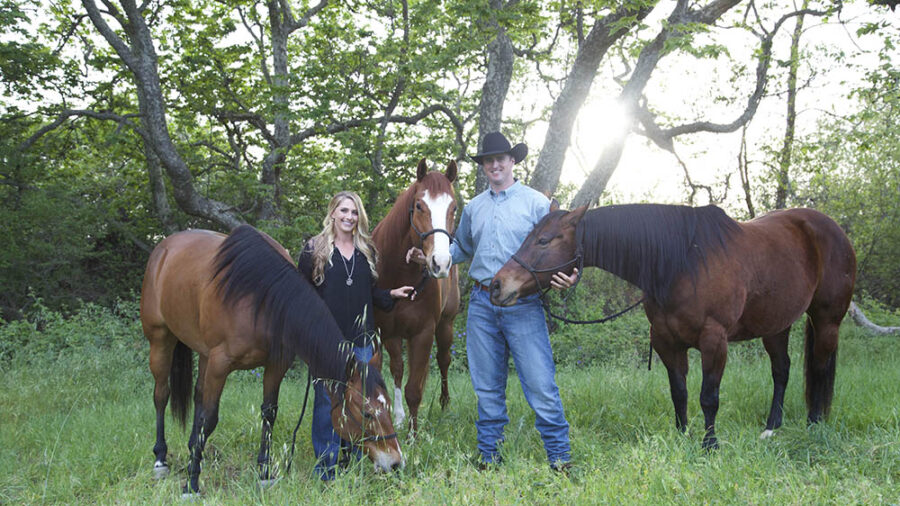 Bear Katie and Horses copy