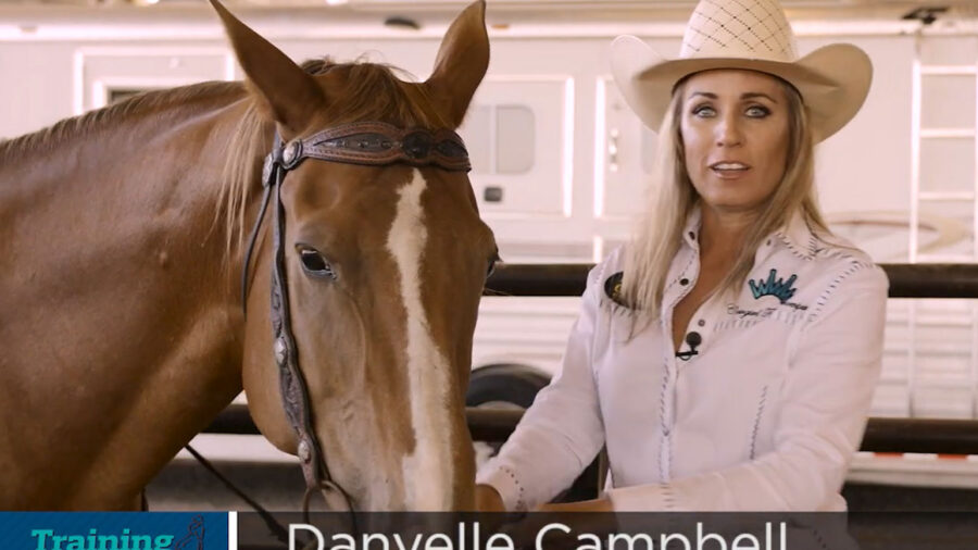 Danyelle Campbell martingales and draw reins