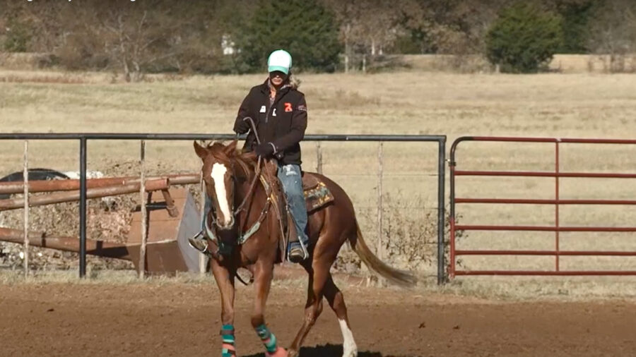 Starting a Nervous Horse