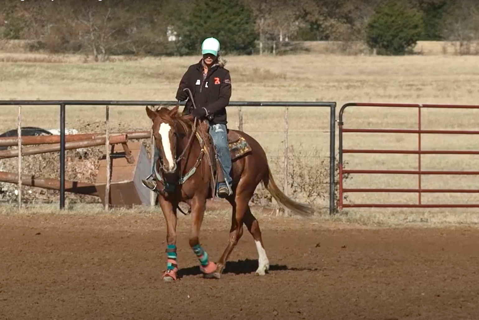Starting a Nervous Horse