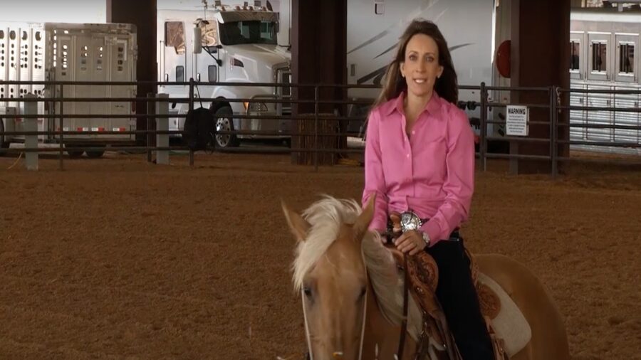 Horse Quits Working