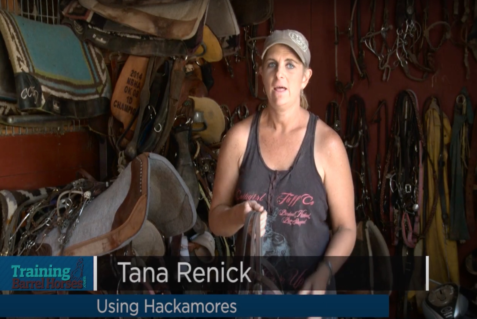 Using Hackamores