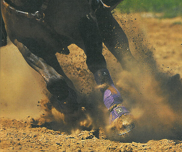 tbt6.9.16 dirt2 web