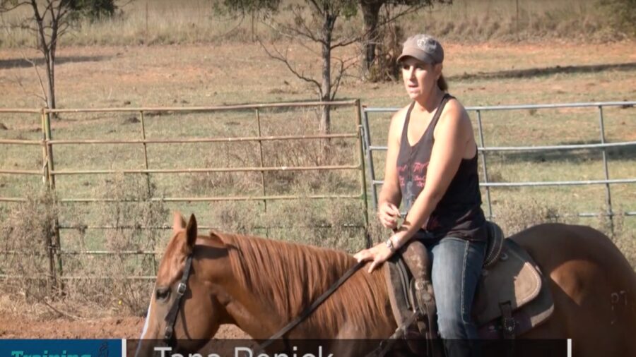 Horse Fitness