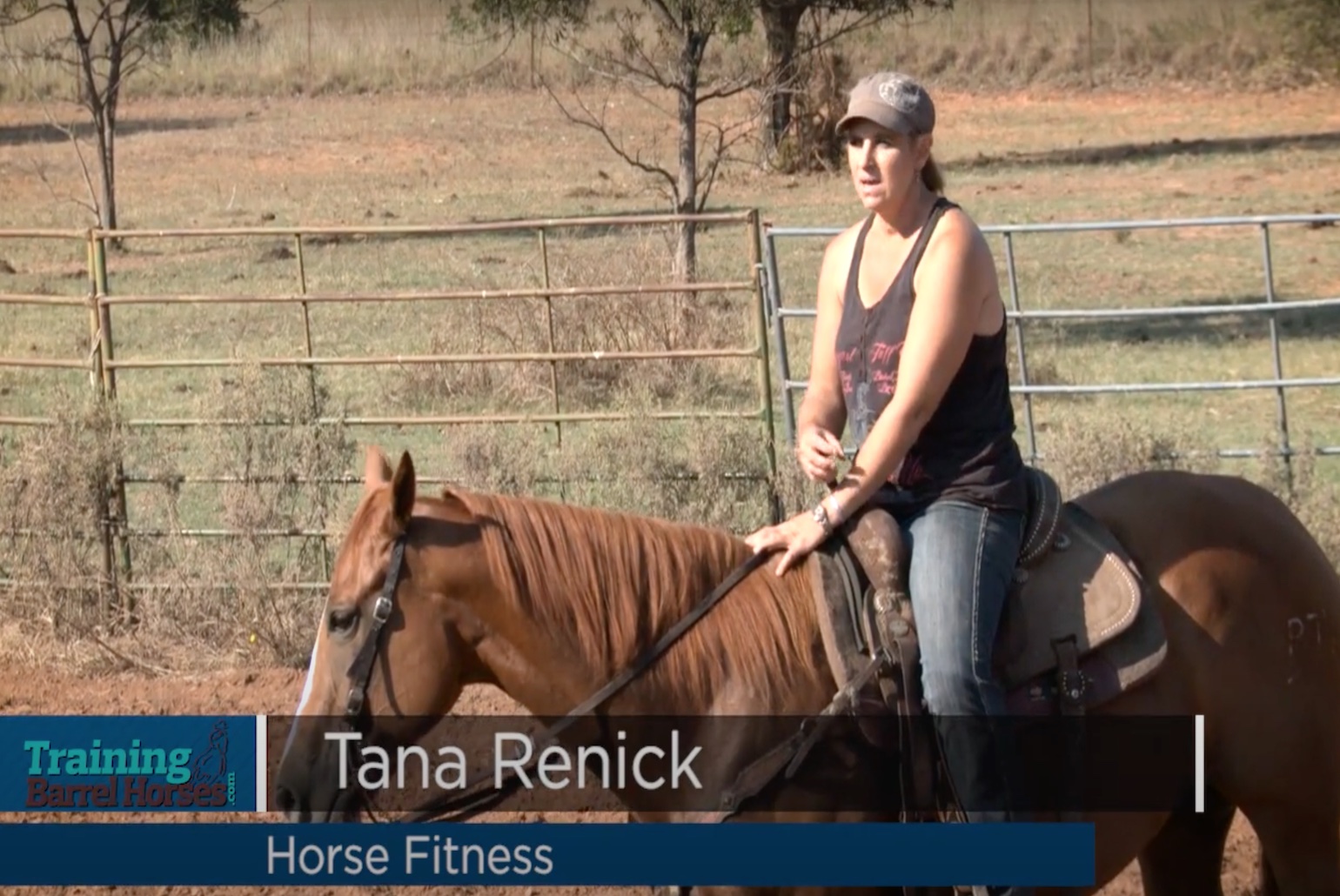 Horse Fitness