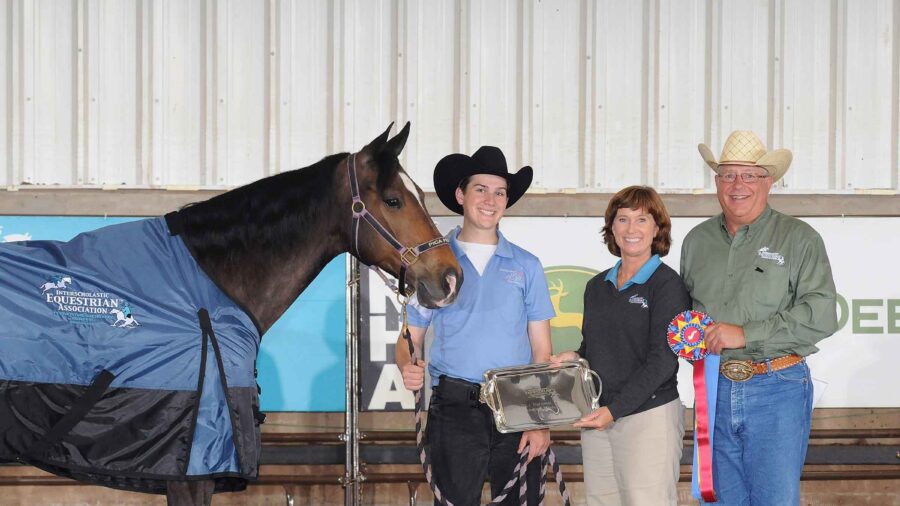 IEA Waltenberryweb