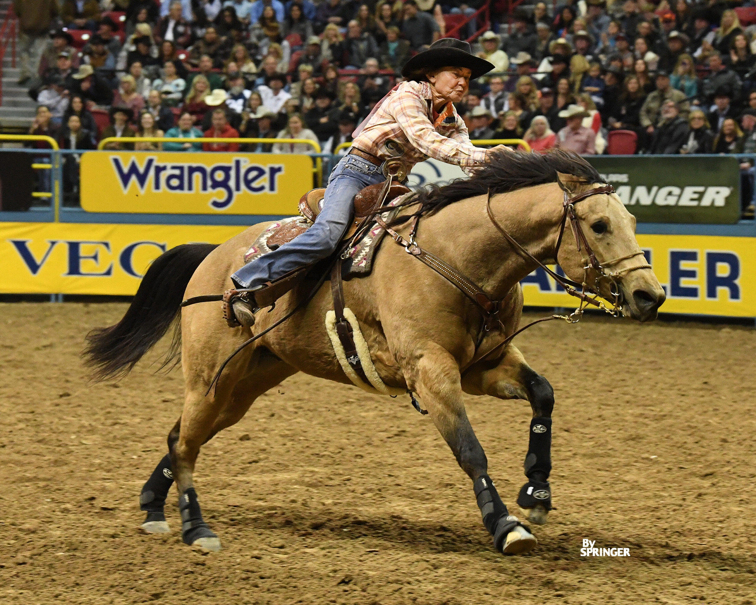 MaryBurger Springer NFR16