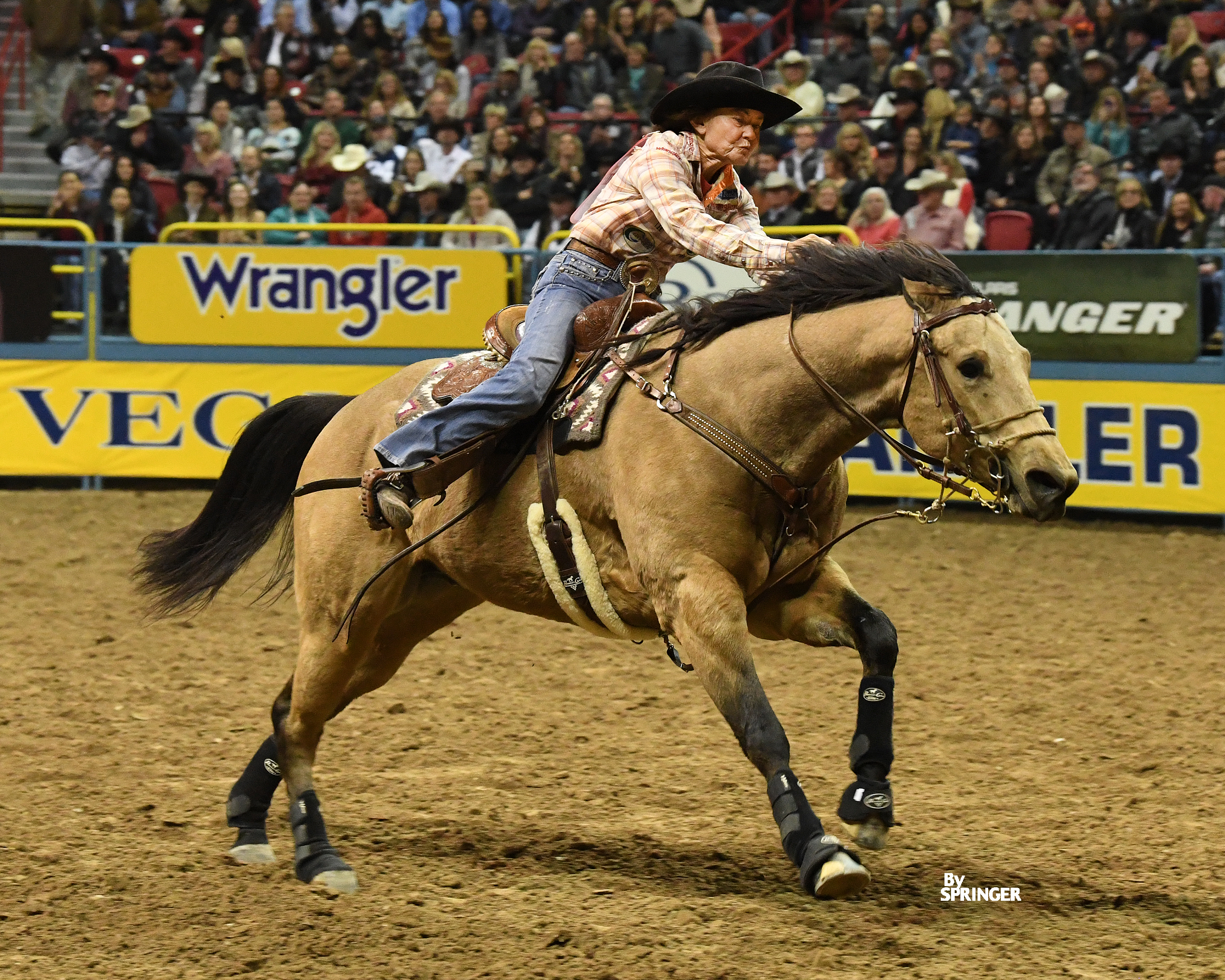 MaryBurger Springer NFR16