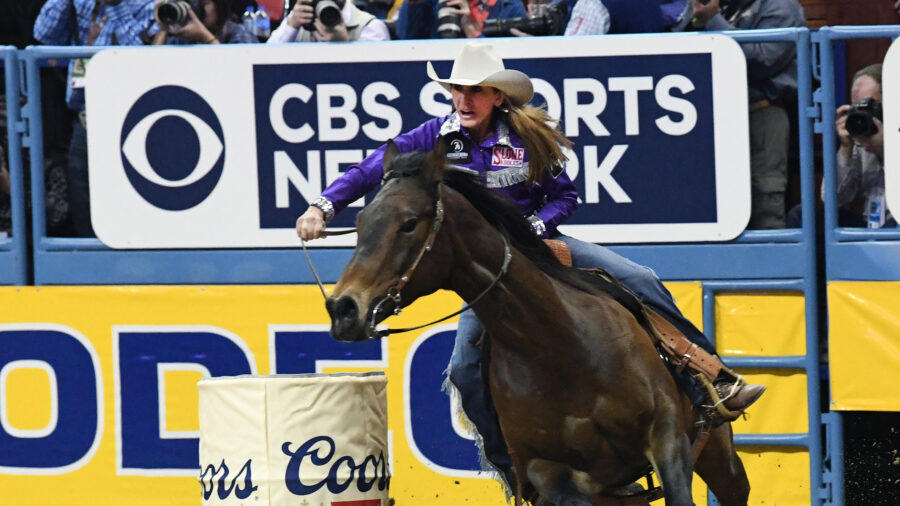 PamelaCapper Springer NFR16