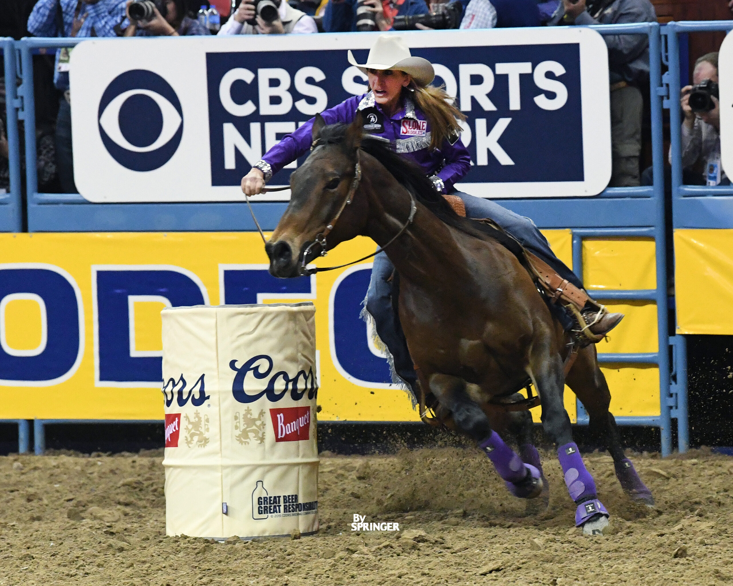 PamelaCapper Springer NFR16