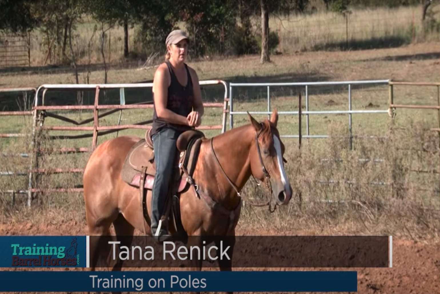 Training on Poles