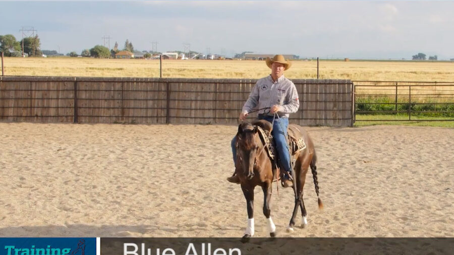 Blue-Allen-Pressure-and-Release