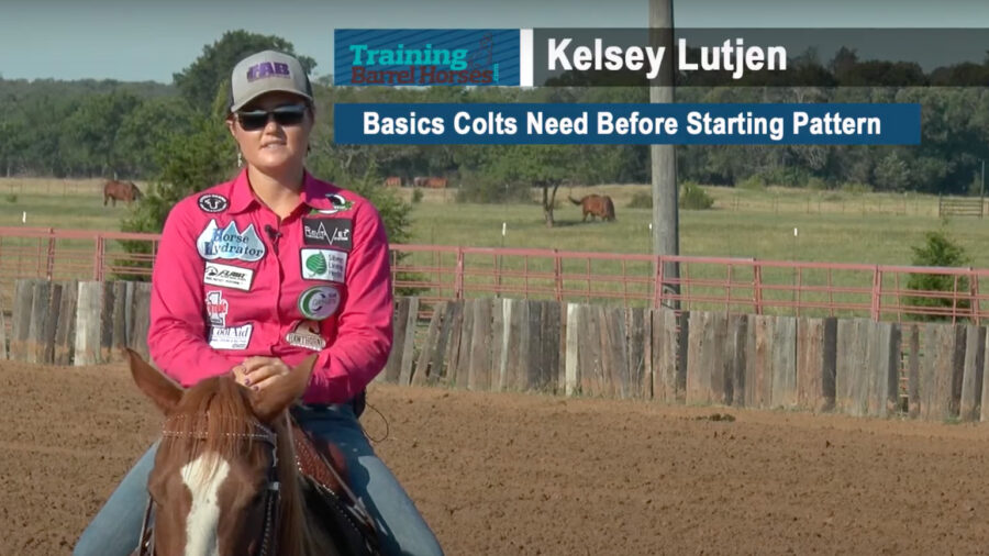 Basics Colts Need Before Starting Pattern