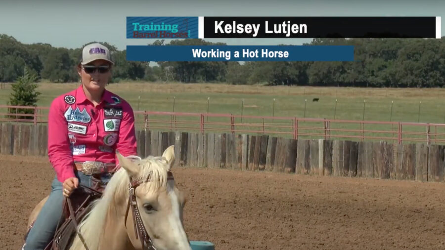 Working a Hot Horse