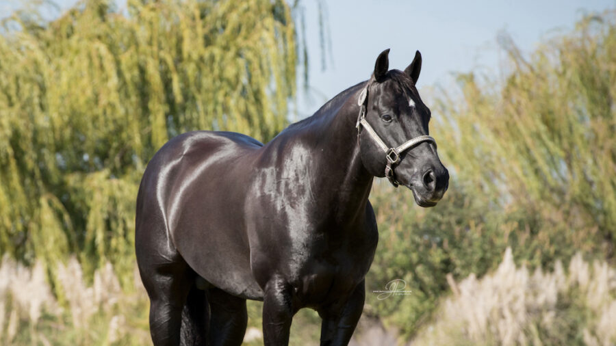 Slick By Design standing near pond