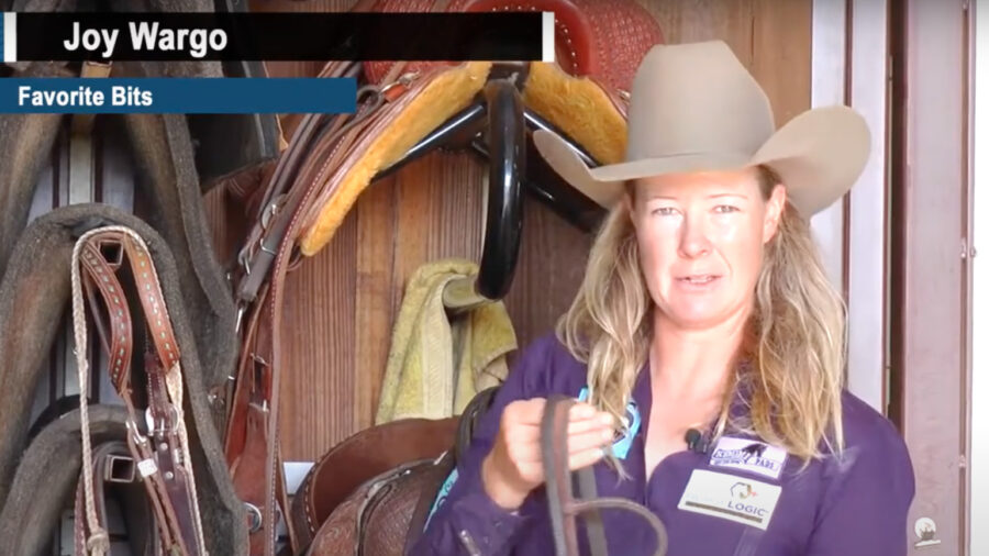 Joy Wargo's Favorite Bits