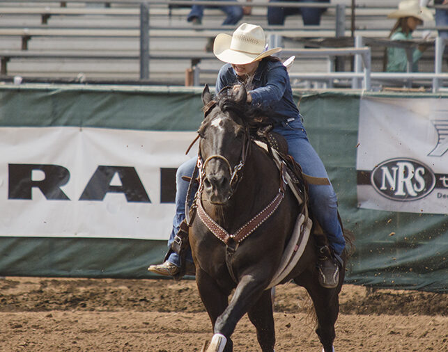 IFYR 2017