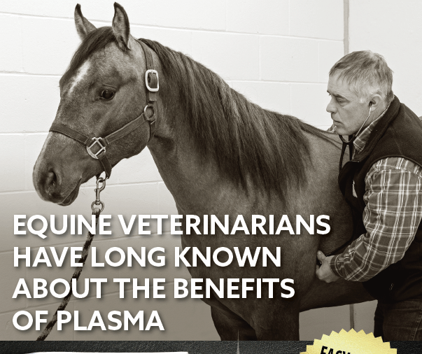 Plasma Veterinarians Know