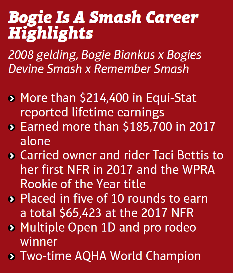 BogieIsASmash career