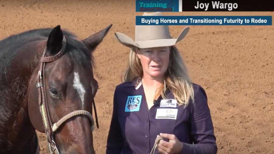Buying Horses and Transitioning Futurity to Rodeo