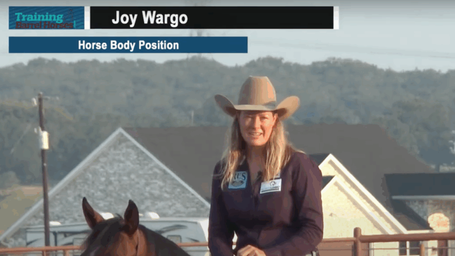 Horse Body Position