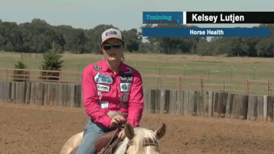 Horse Health