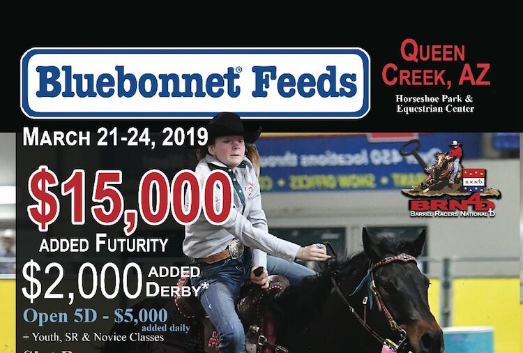 Bluebonnet Feeds 5D Flyer