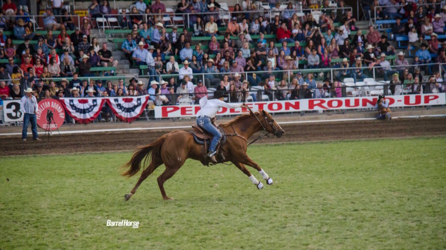 Cheyenne Allen barrel racing at pendleton