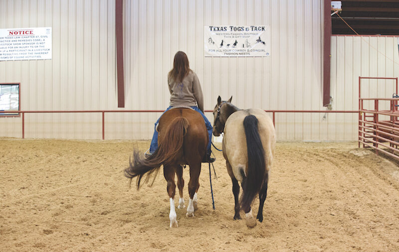 Sorrel hores ponying a buckskin