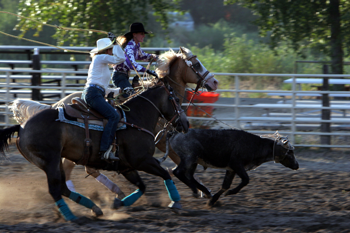 Jolee and Dolli team roping