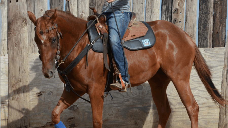 Molli Montgomery riding 2-year-old colt