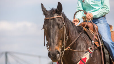 Nicole Laurence demonstrating what reins she uses for the slow work drill