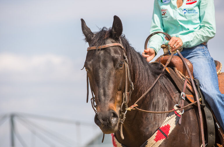 Nicole Laurence demonstrating what reins she uses for the slow work drill
