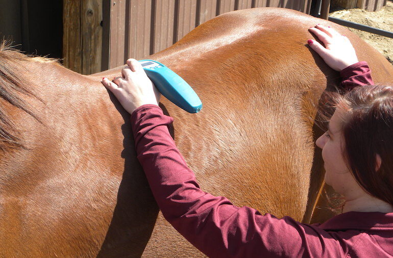 woman demonstrating equine laser therapy as a benefit of alternative therapies