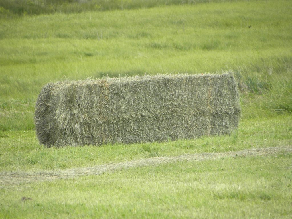 bale of hay in a field