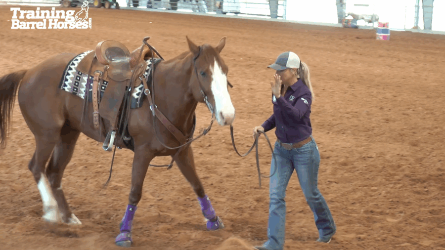Ivy Hurst demonstrating ground manners