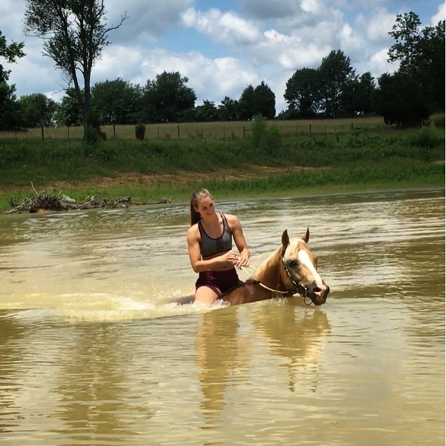 horse with rider swimming in pond
