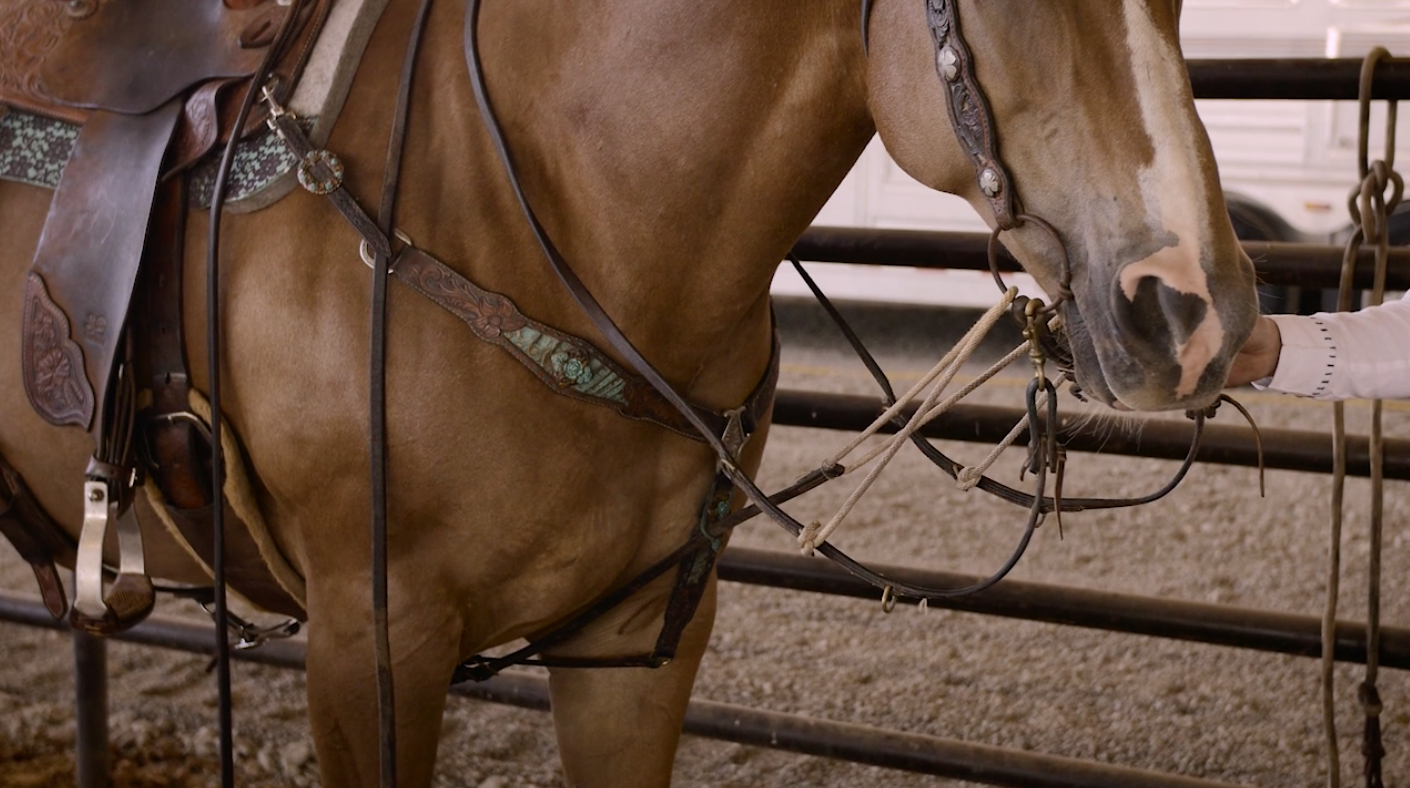 Running Martingales, Draw Reins and German Martingales A