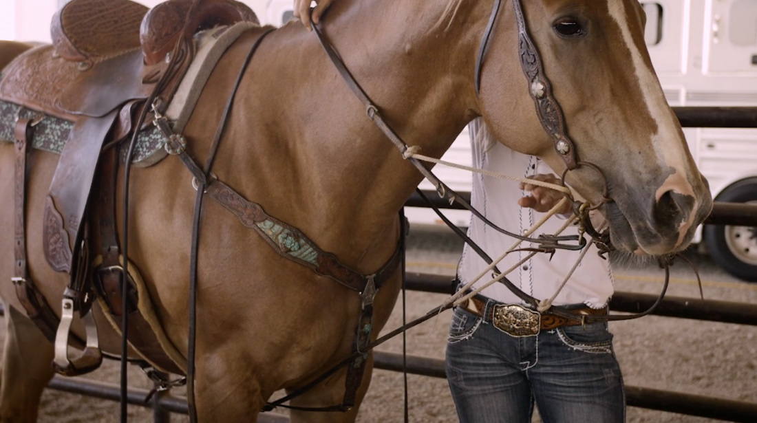 Martingales and Draw Reins Barrel Horse News