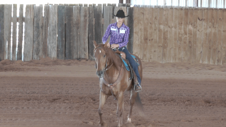 Dona Kay Rule walking horse