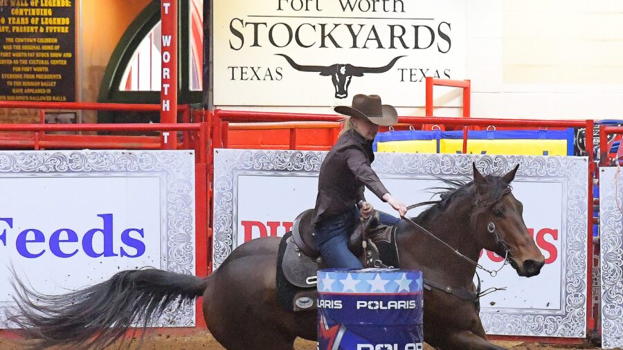 wenda johnson and Macgyver Moonflash at the American Semifinals