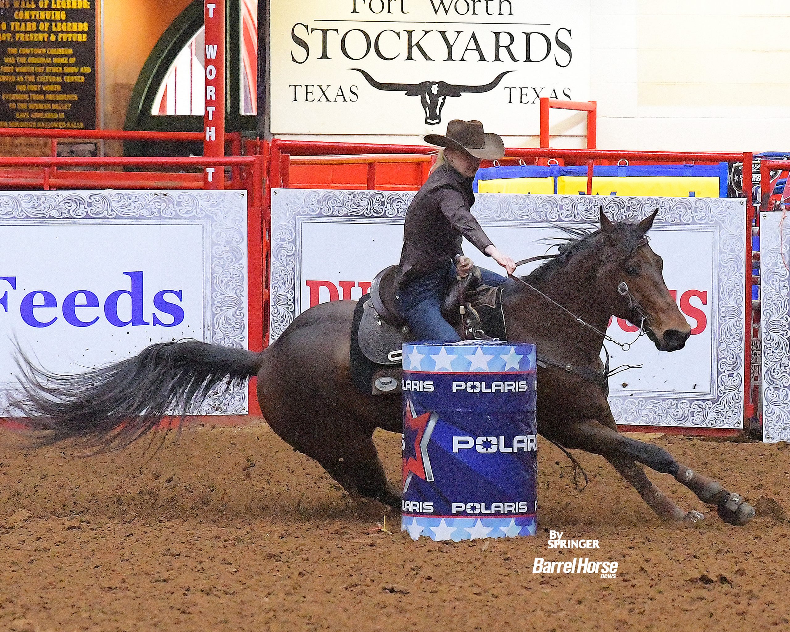 wenda johnson and Macgyver Moonflash at the American Semifinals