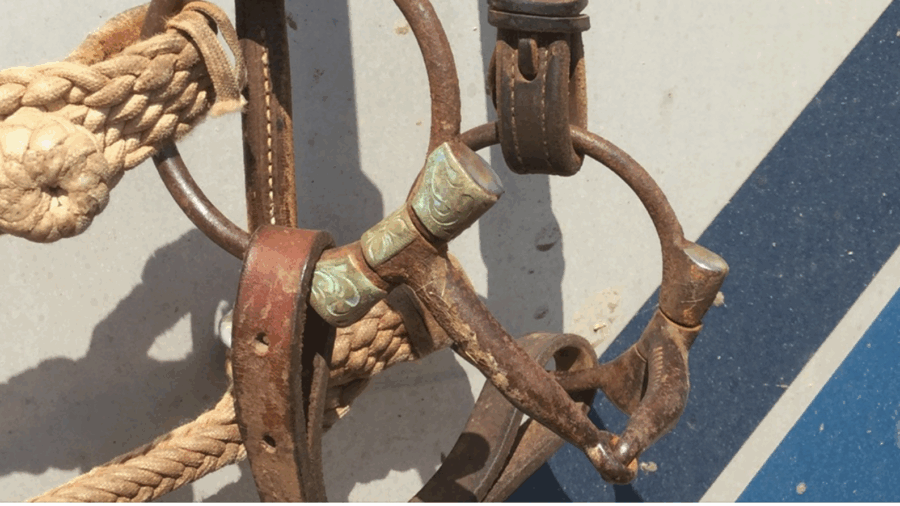 D-ring snaffle hanging on trailer