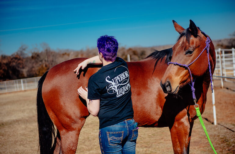 Summer Terry running hands along horse to evaluate fitness