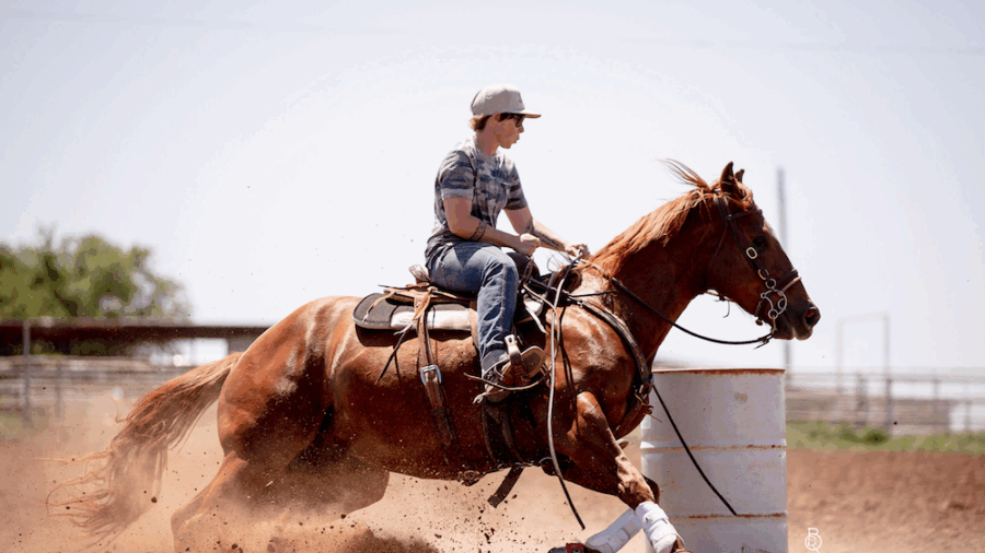 barrel racer's horse is healthy because of omega-3