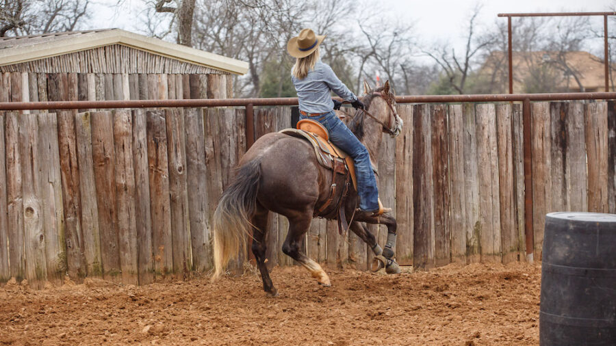 Danyelle Campbell approaching fence at a 45 degree angle