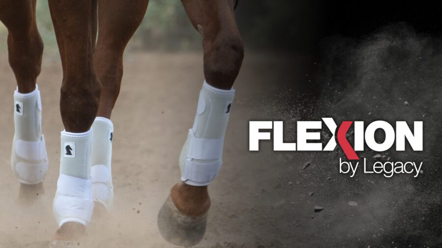 Classic Equine Flexion